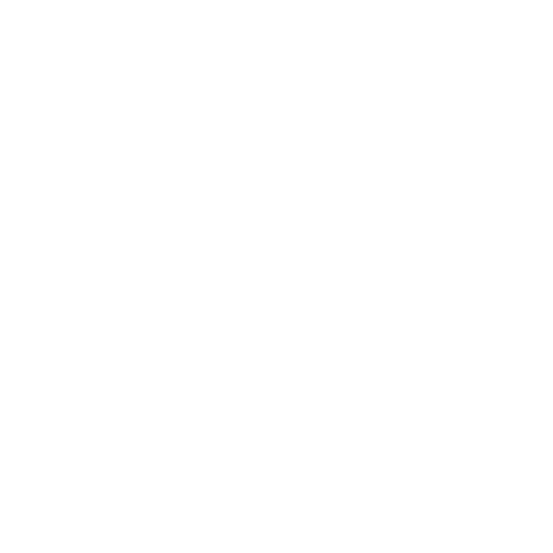 Pulse Revenue Consulting